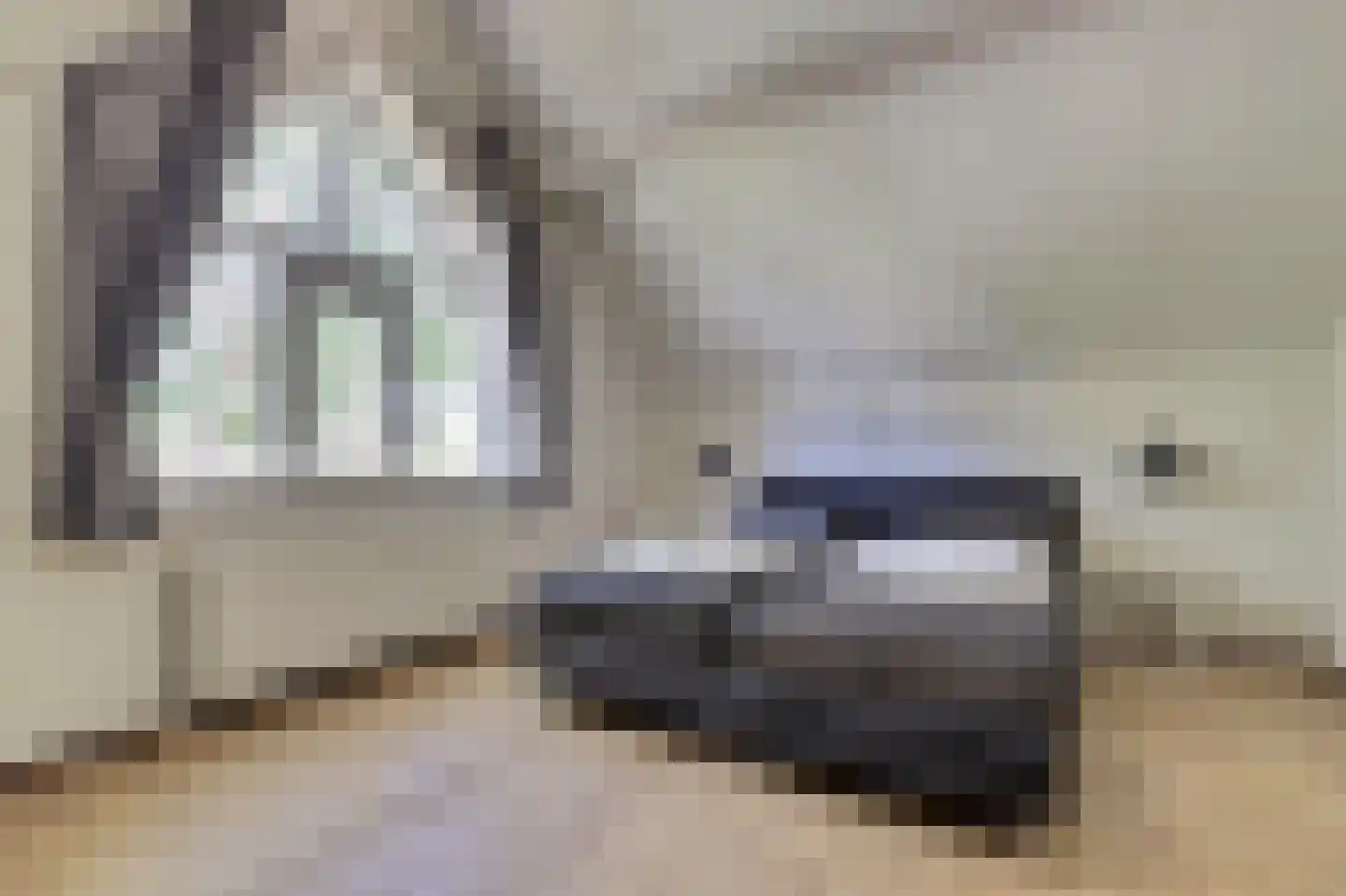 Zand 15 Kamperland thumbnail 17