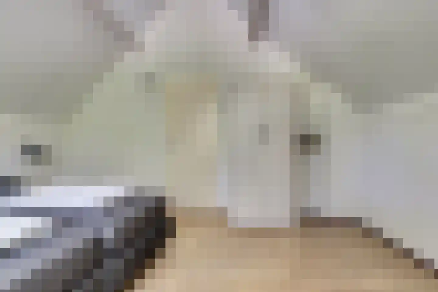 Zand 15 Kamperland thumbnail 18