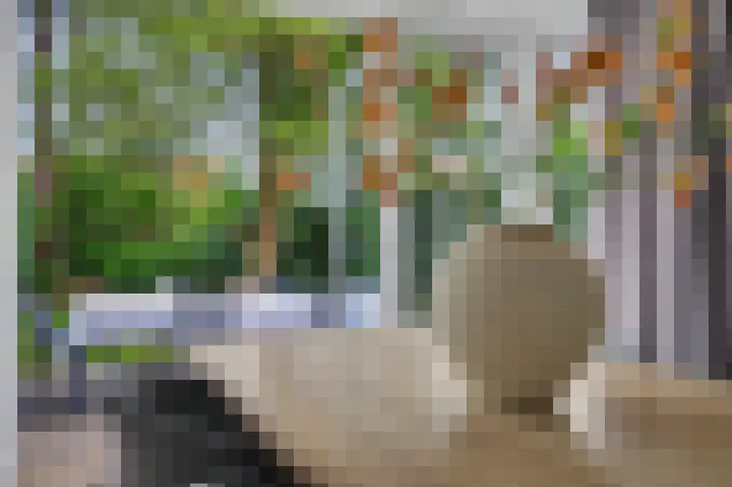 Zand 7 Kamperland thumbnail 13