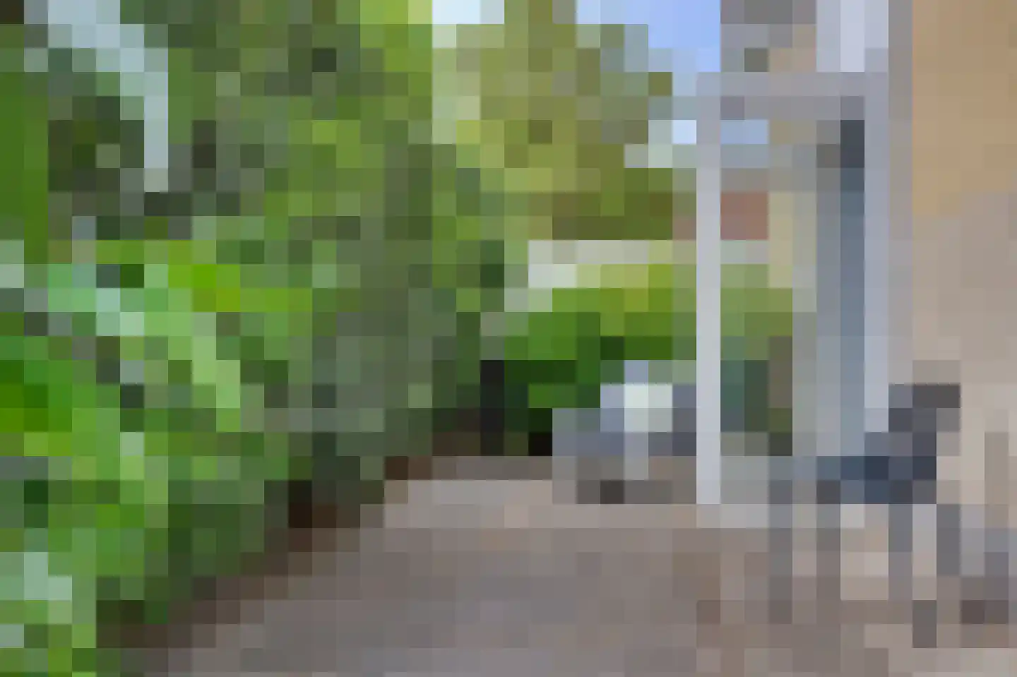 Zand 7 Kamperland thumbnail 36