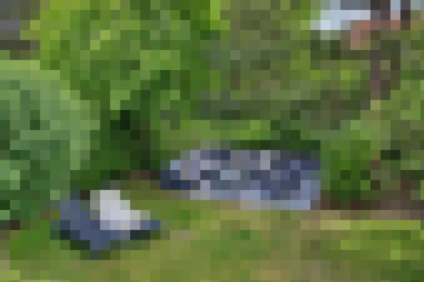 Zand 7 Kamperland thumbnail 37