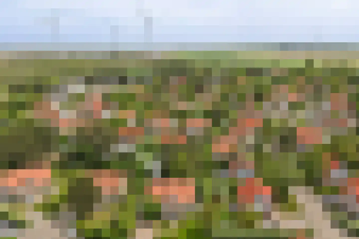 Zand 7 Kamperland thumbnail 39