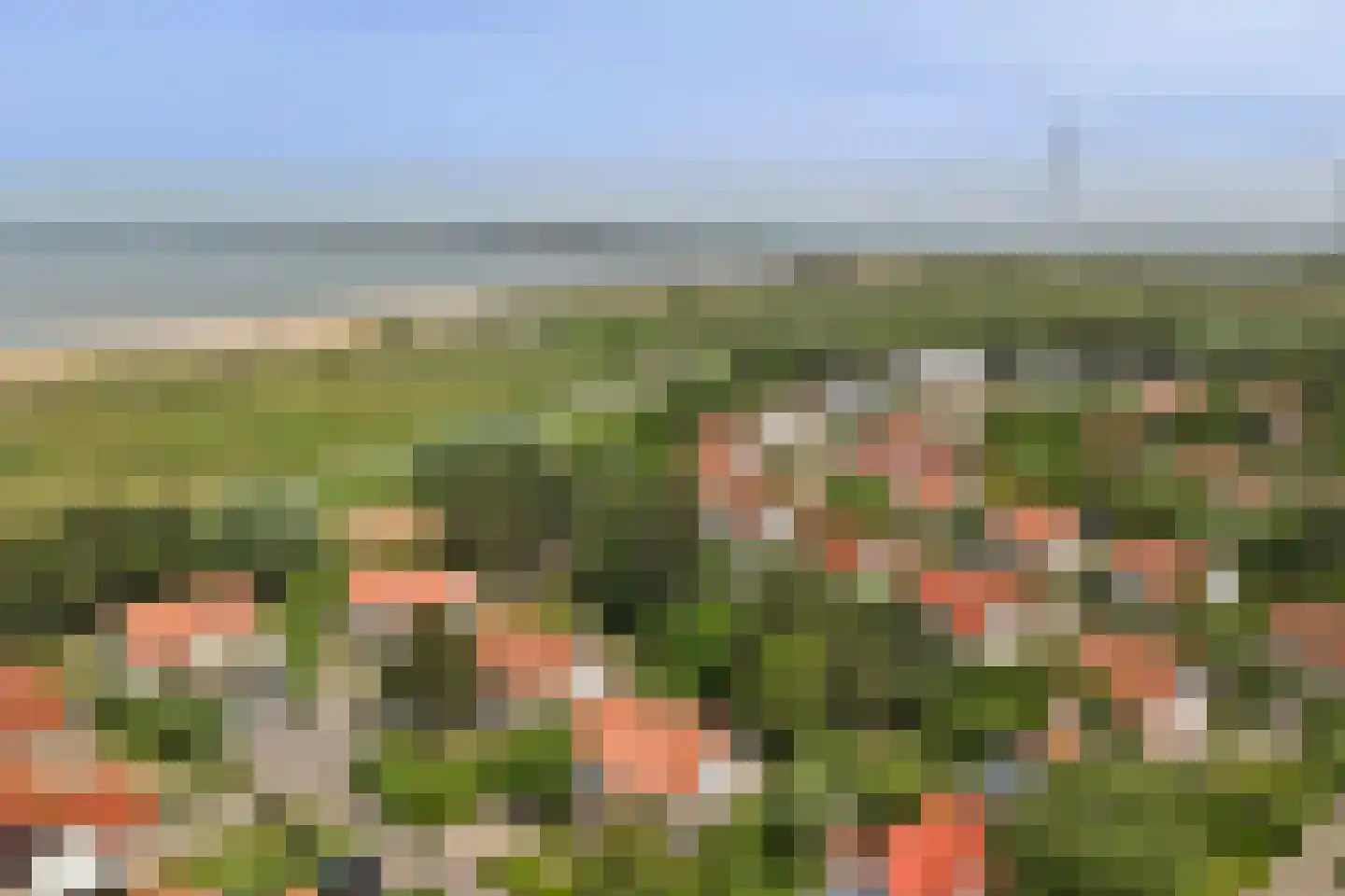 Zand 7 Kamperland thumbnail 40