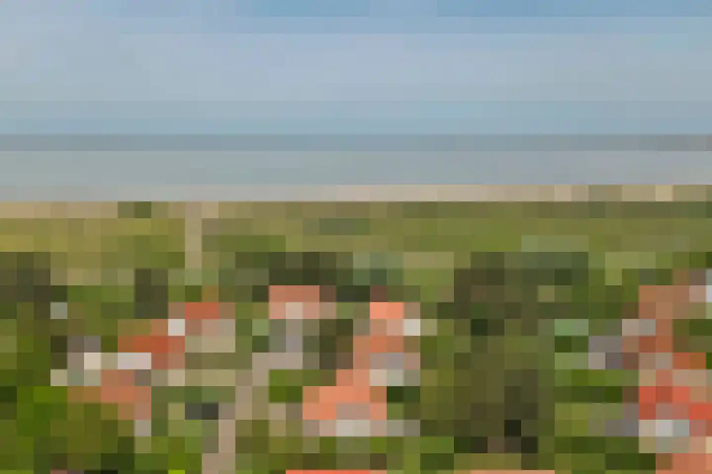 Zand 7 Kamperland thumbnail 41