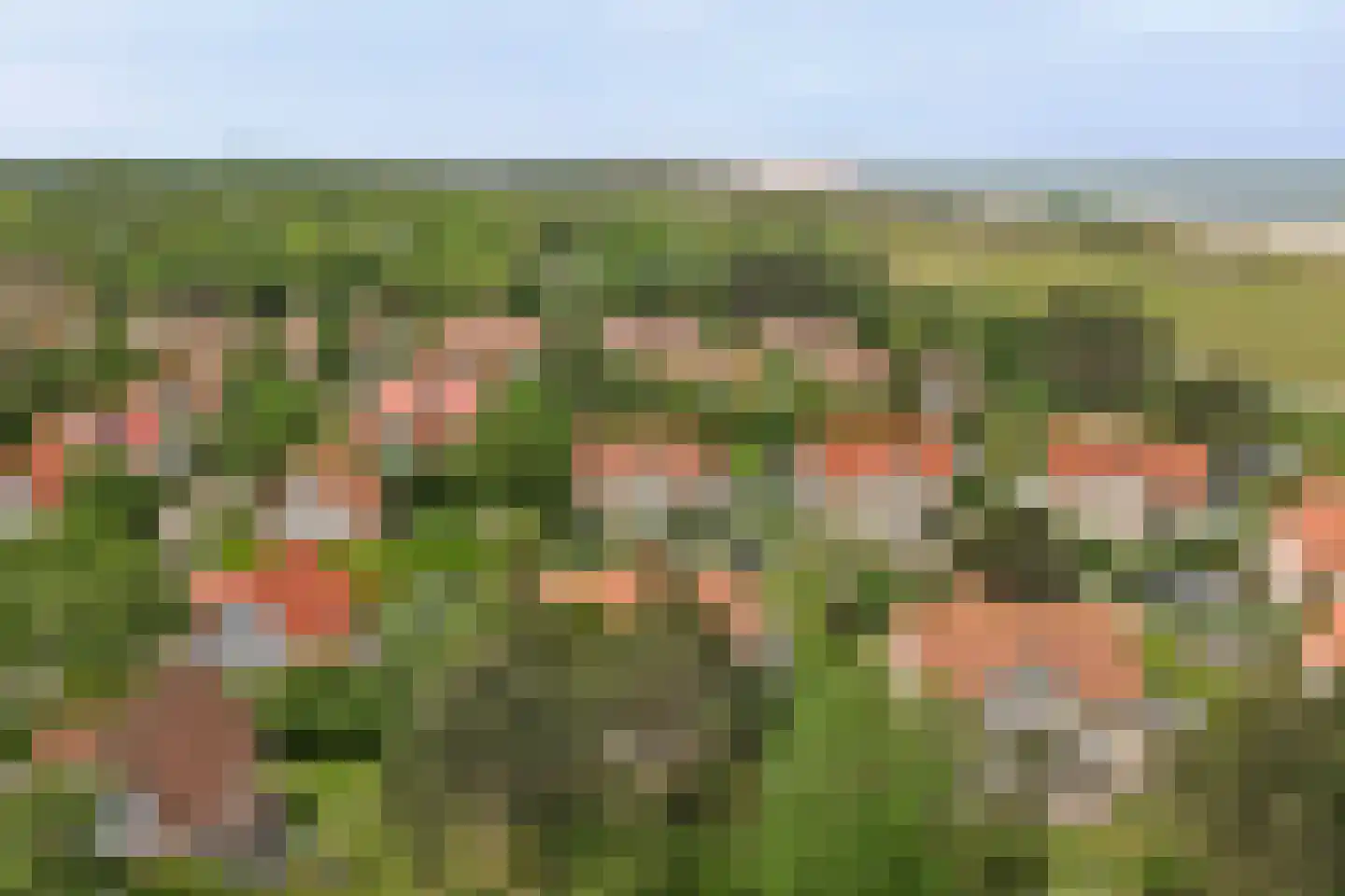 Zand 7 Kamperland thumbnail 42