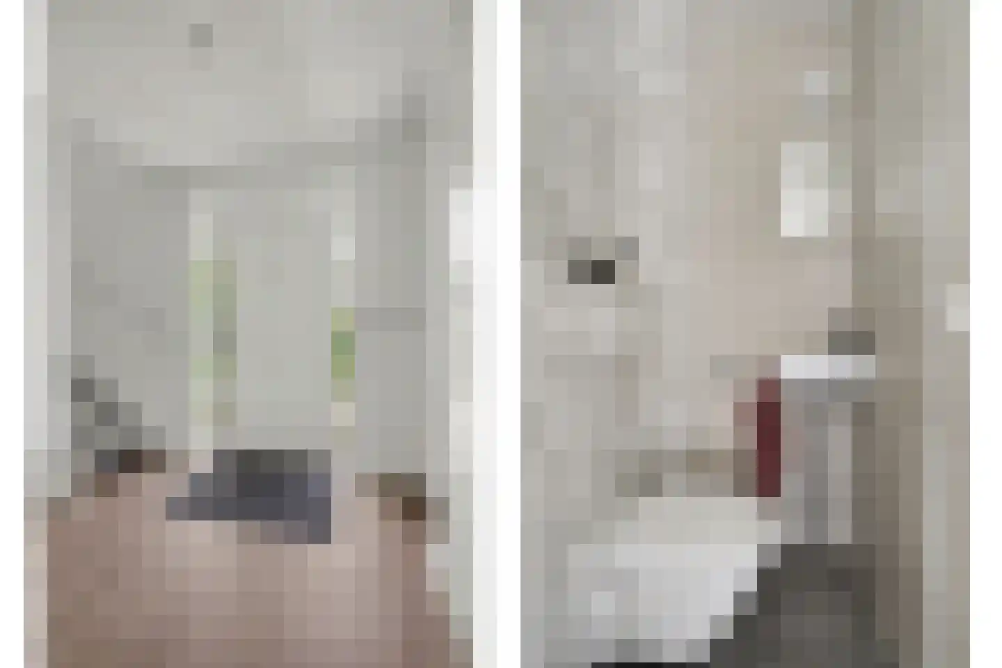 Zand 7 Kamperland thumbnail 7