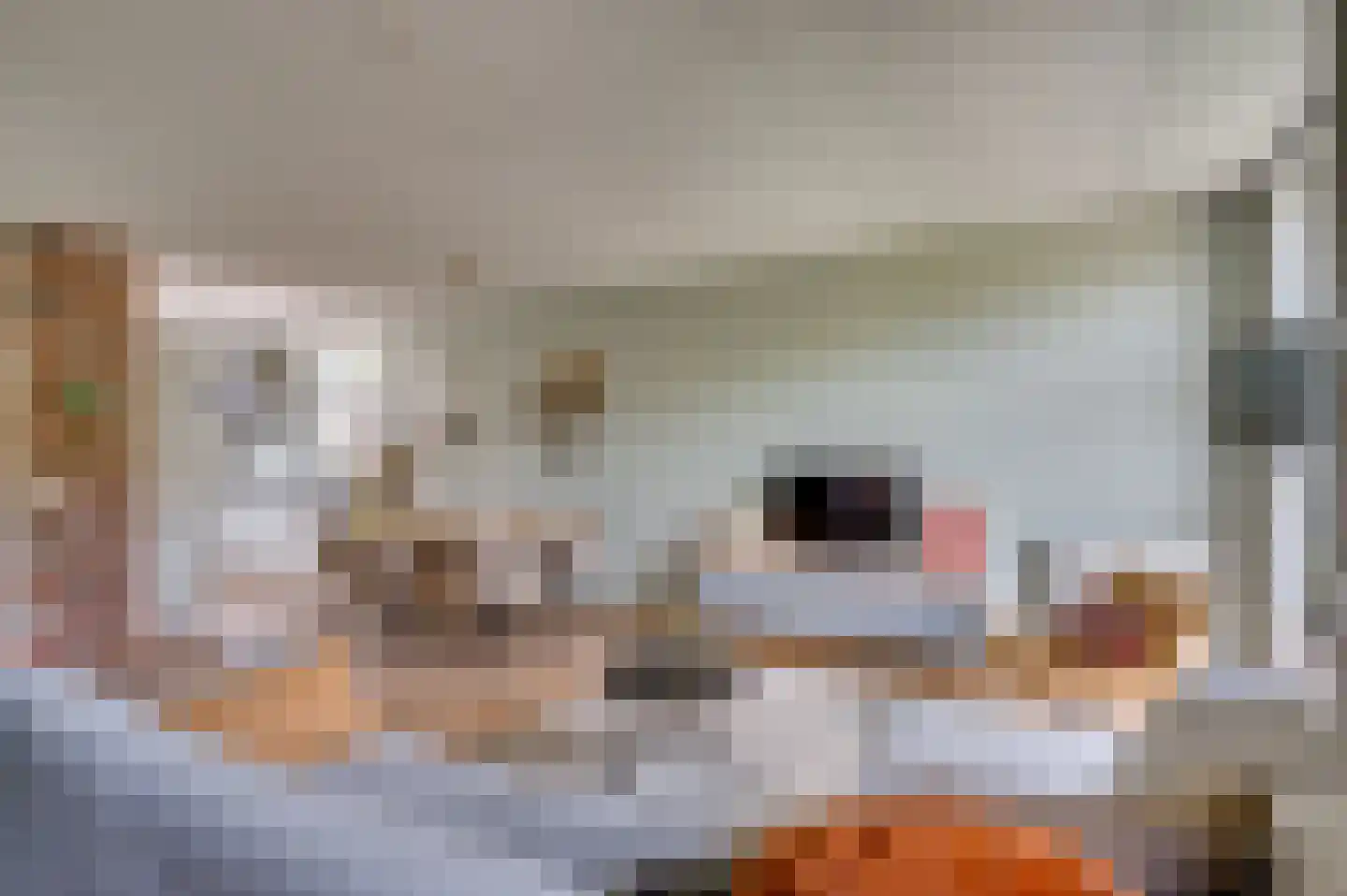 Zand Arabiëweg 1 Venlo thumbnail 12