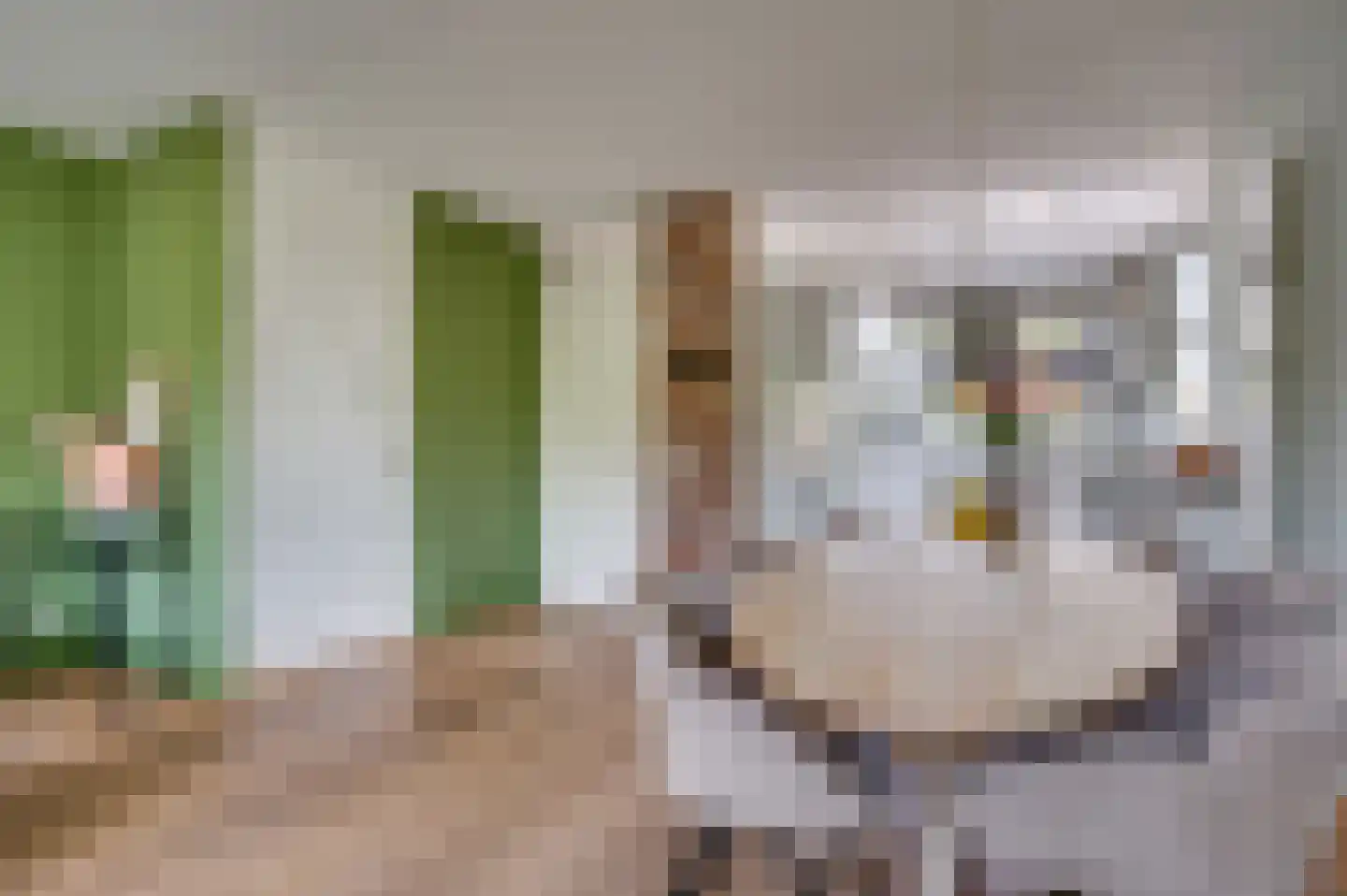 Zand Arabiëweg 1 Venlo thumbnail 13