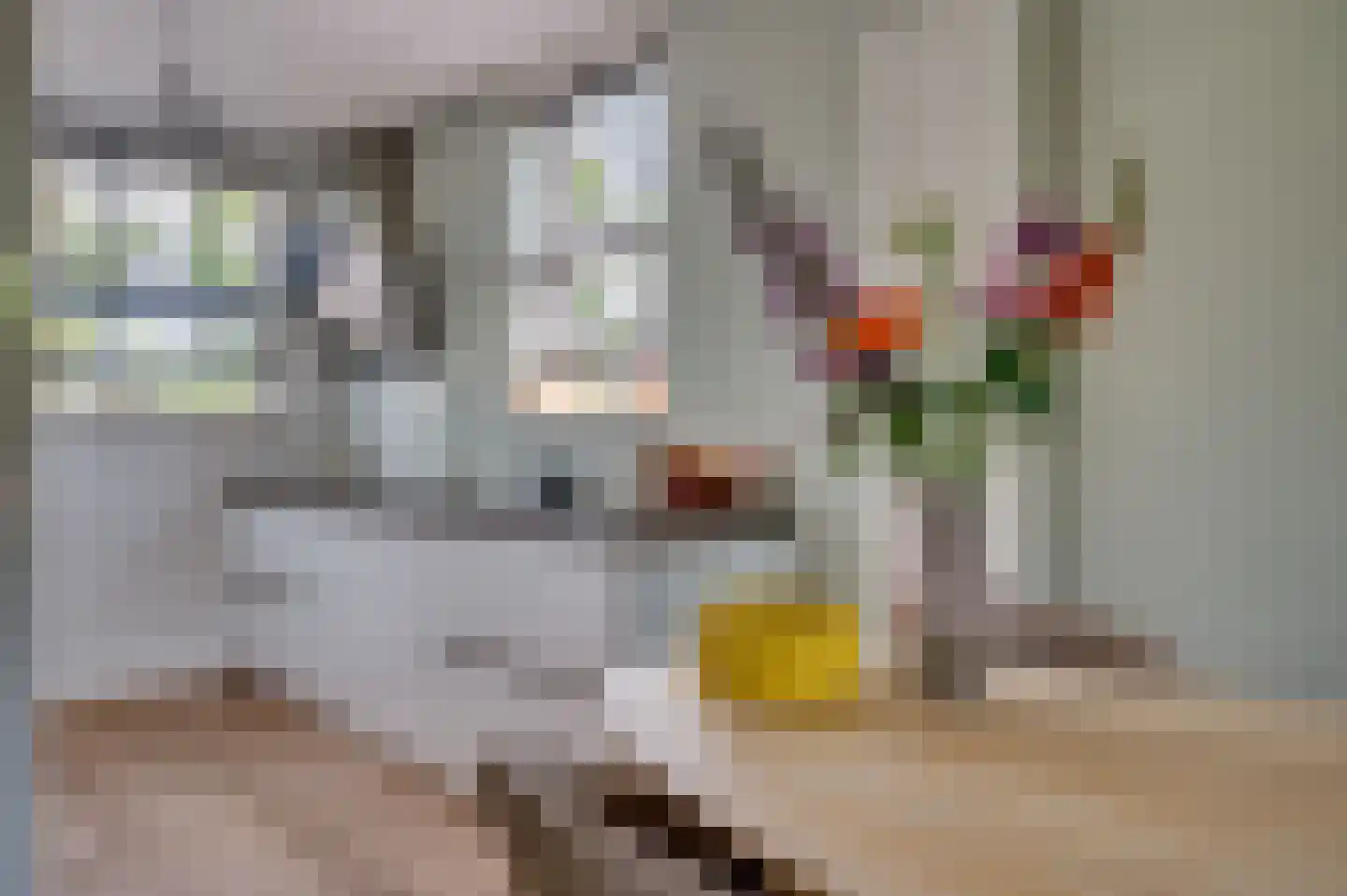 Zand Arabiëweg 1 Venlo thumbnail 16