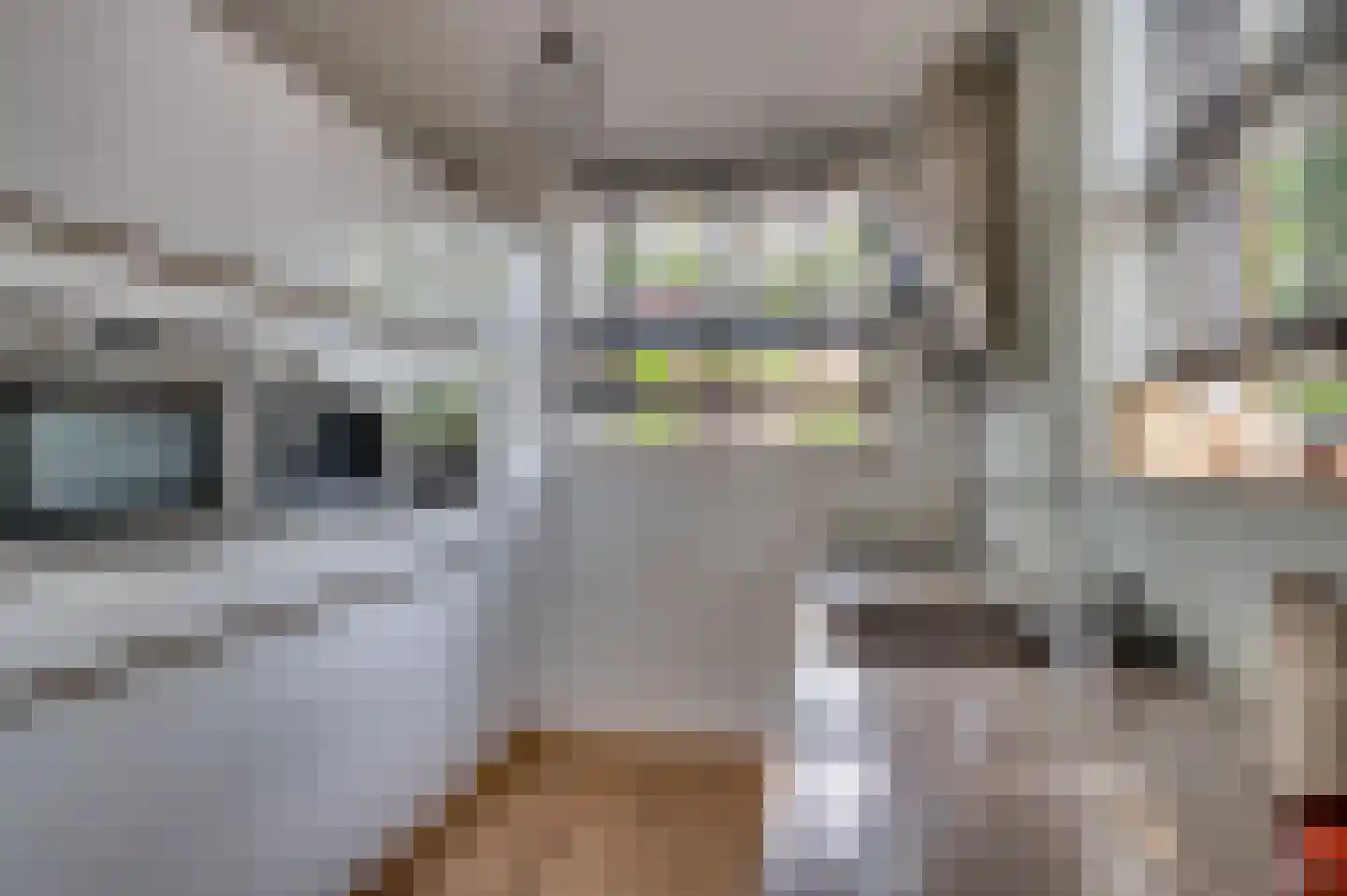 Zand Arabiëweg 1 Venlo thumbnail 17