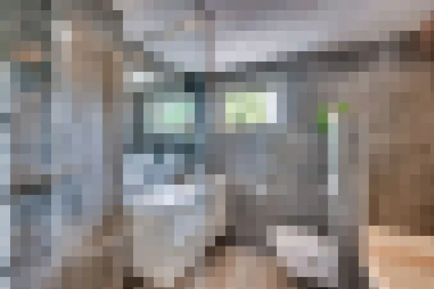 Zand Arabiëweg 1 Venlo thumbnail 31