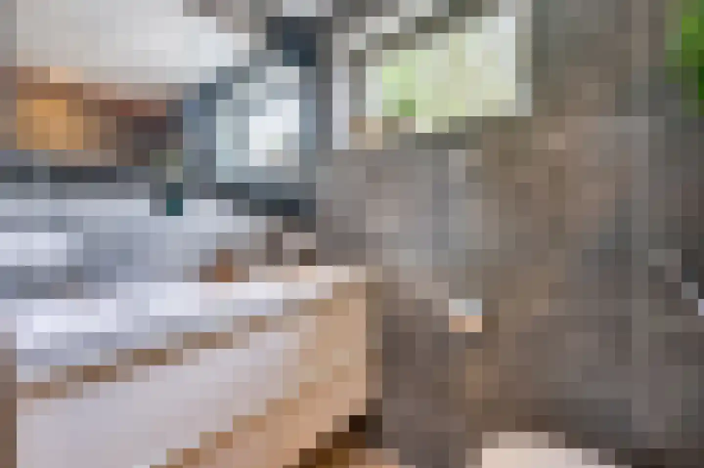 Zand Arabiëweg 1 Venlo thumbnail 32