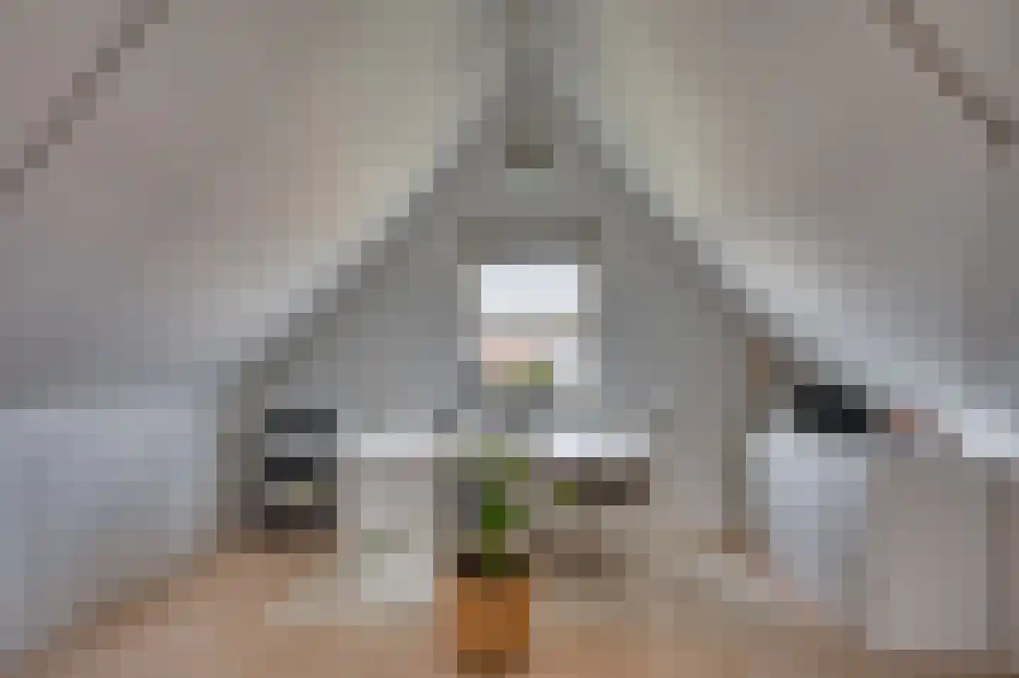 Zand Arabiëweg 1 Venlo thumbnail 37