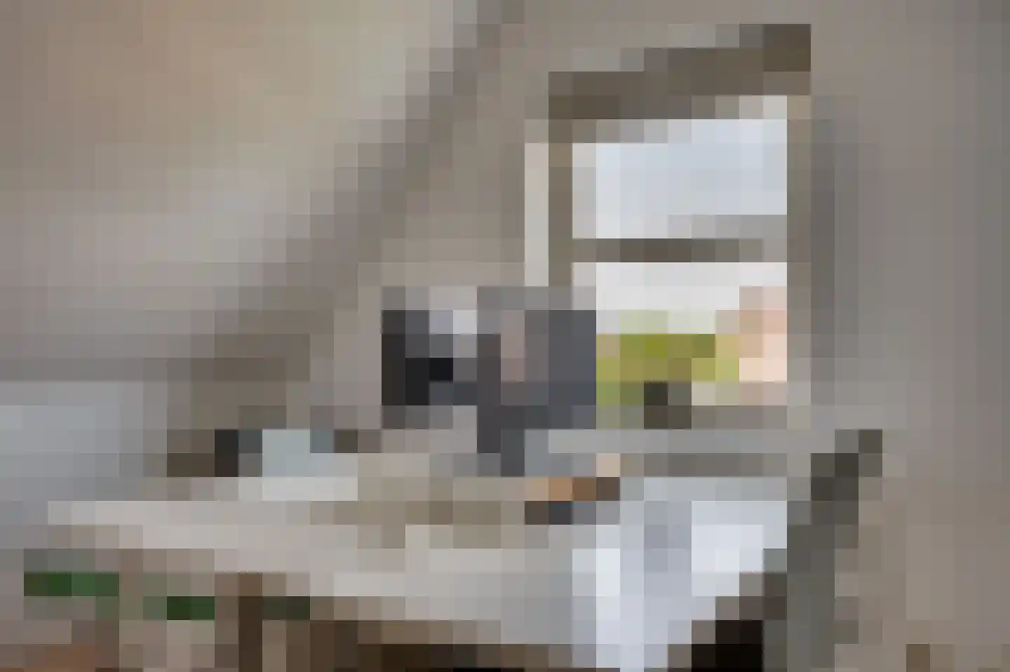 Zand Arabiëweg 1 Venlo thumbnail 38