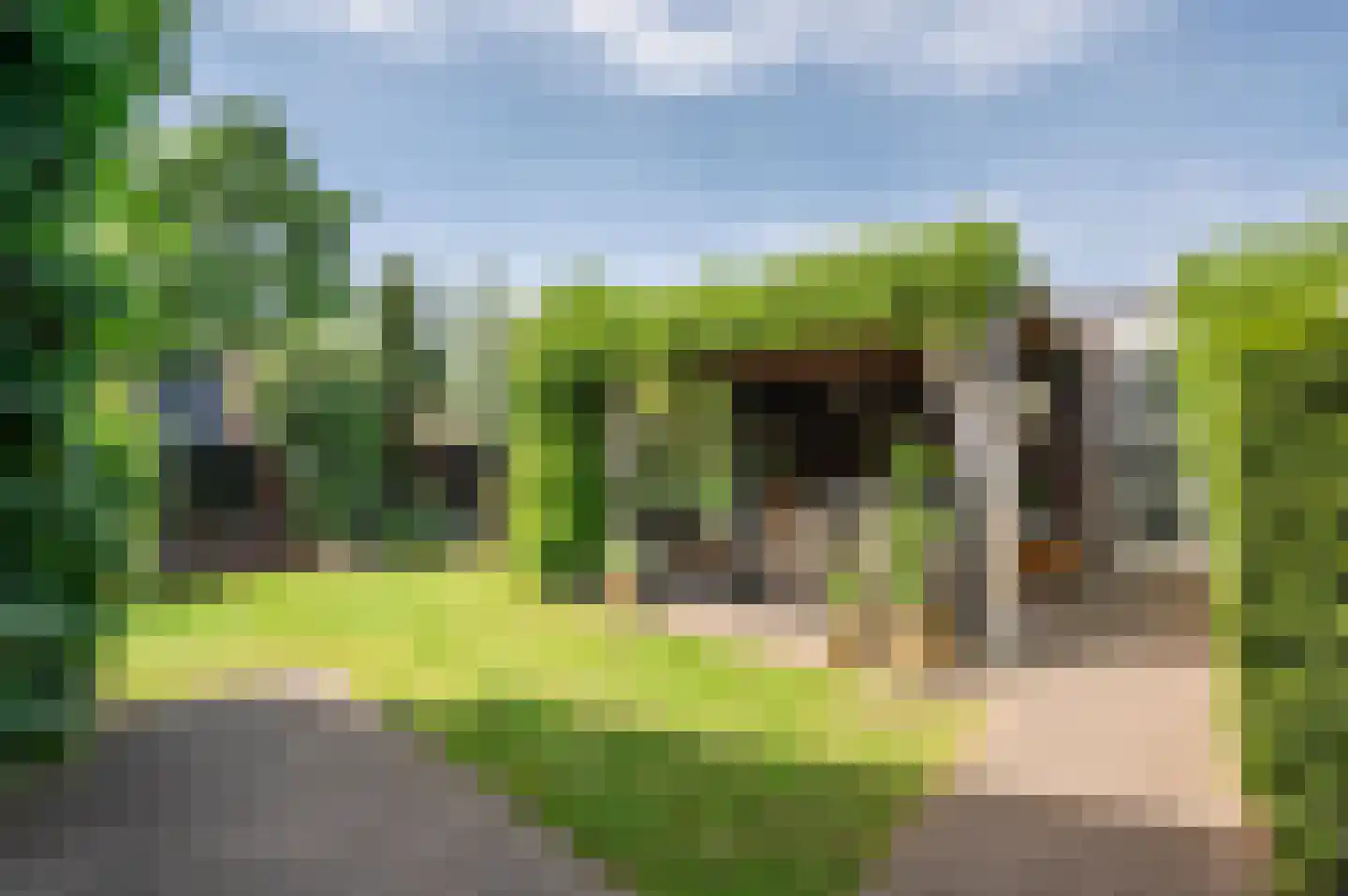 Zand Arabiëweg 1 Venlo thumbnail 43