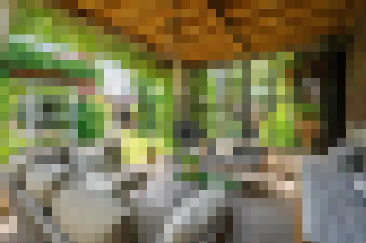 Zand Arabiëweg 1 Venlo thumbnail 45