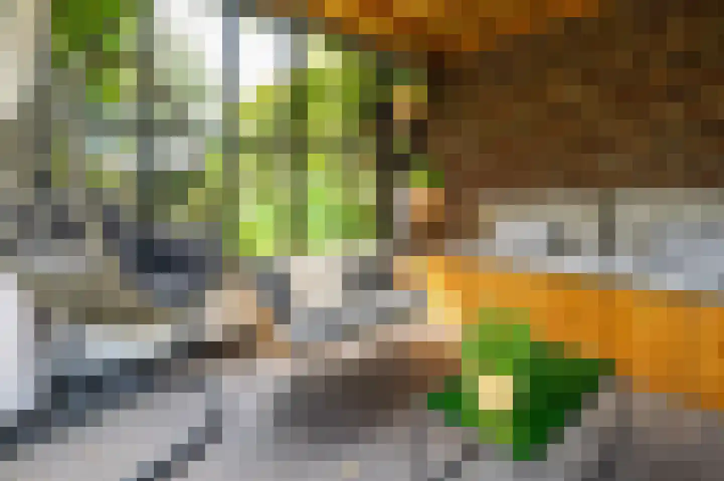 Zand Arabiëweg 1 Venlo thumbnail 46