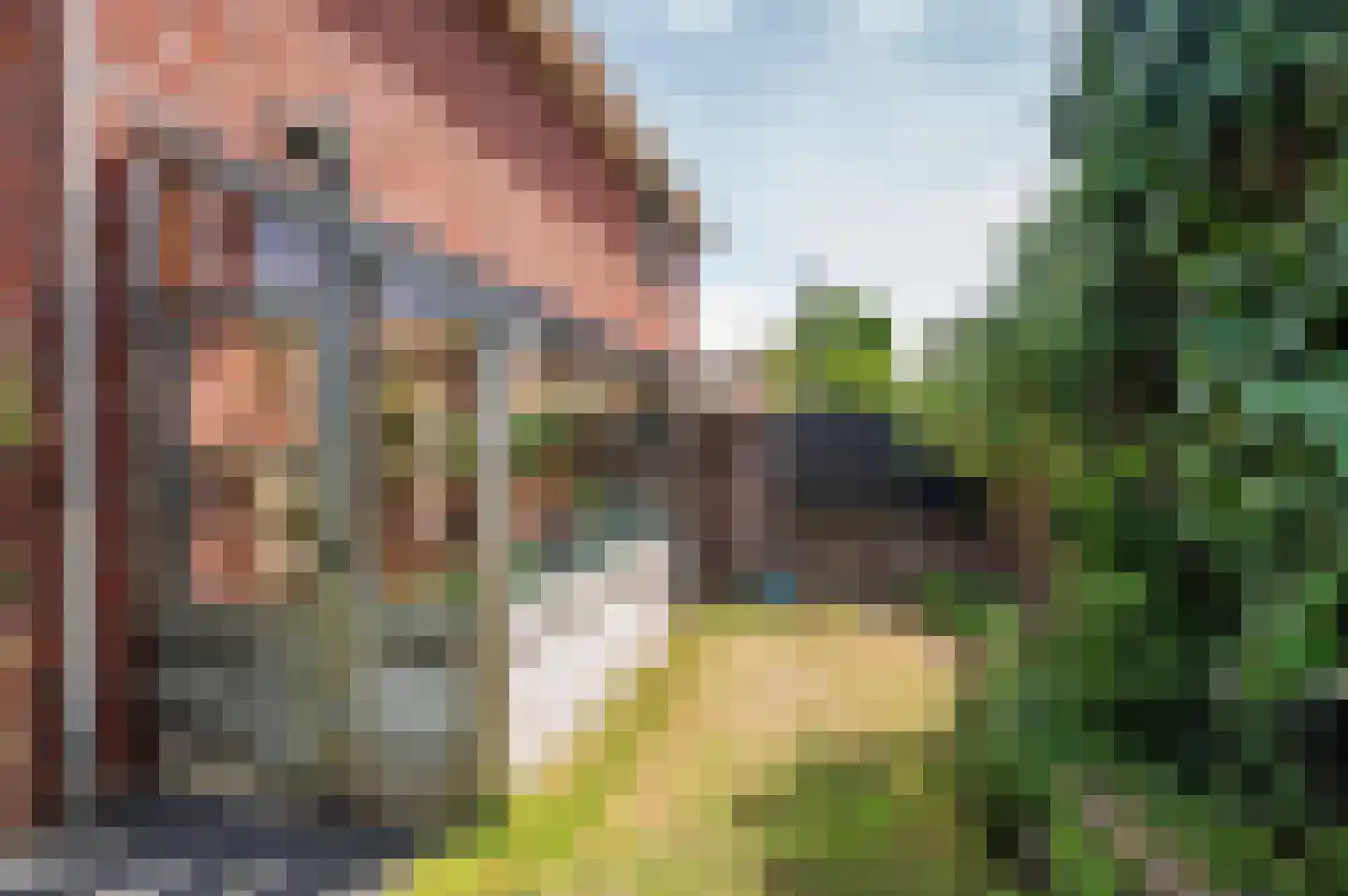 Zand Arabiëweg 1 Venlo thumbnail 51