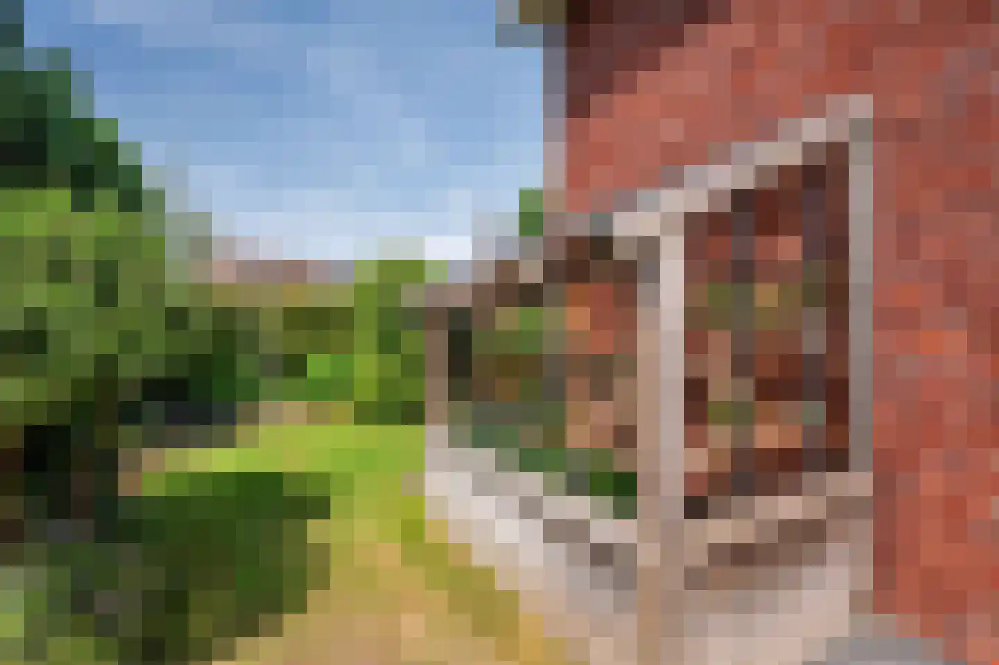 Zand Arabiëweg 1 Venlo thumbnail 54