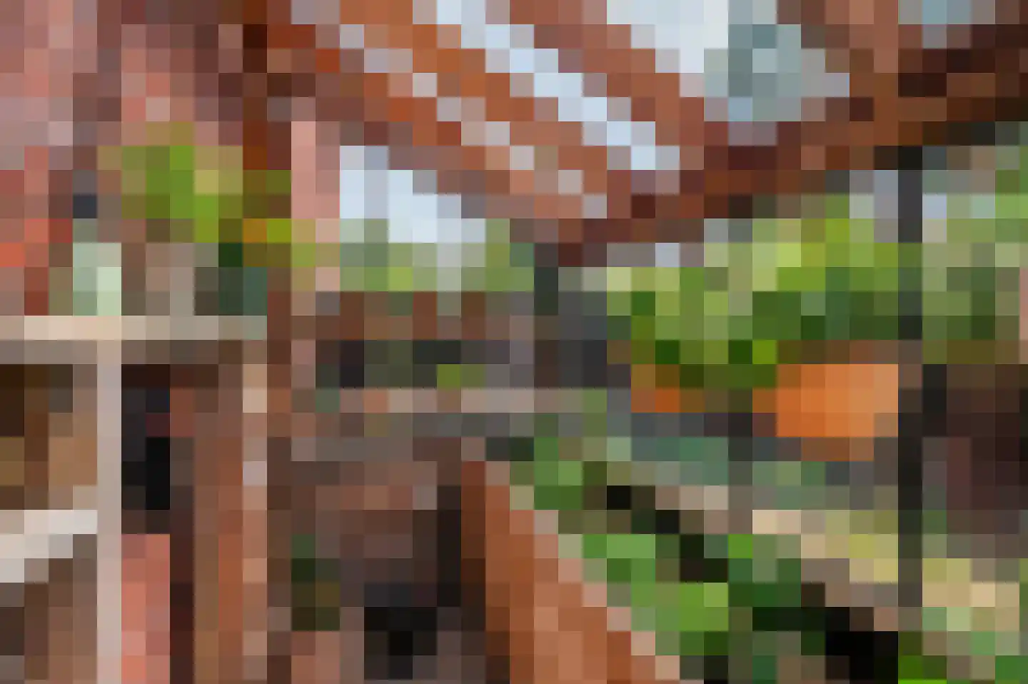 Zand Arabiëweg 1 Venlo thumbnail 55