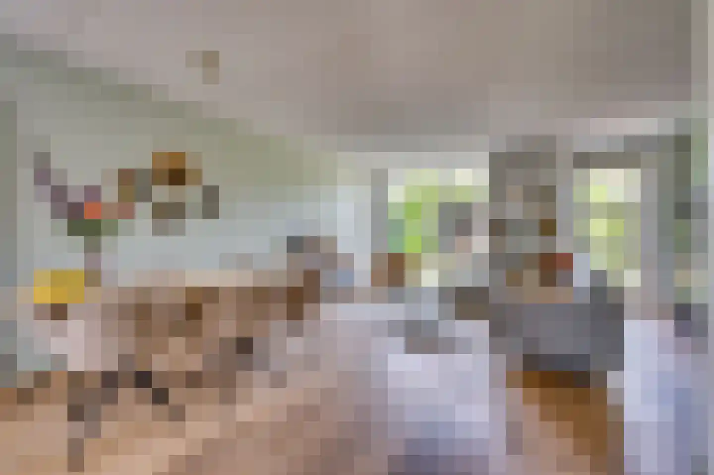 Zand Arabiëweg 1 Venlo thumbnail 7