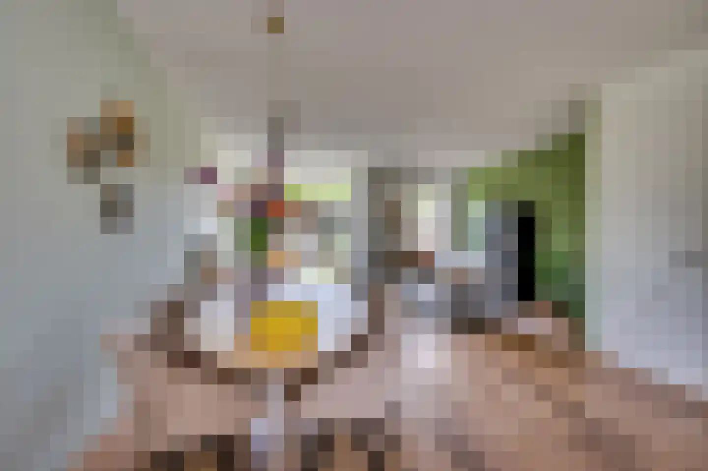 Zand Arabiëweg 1 Venlo thumbnail 8