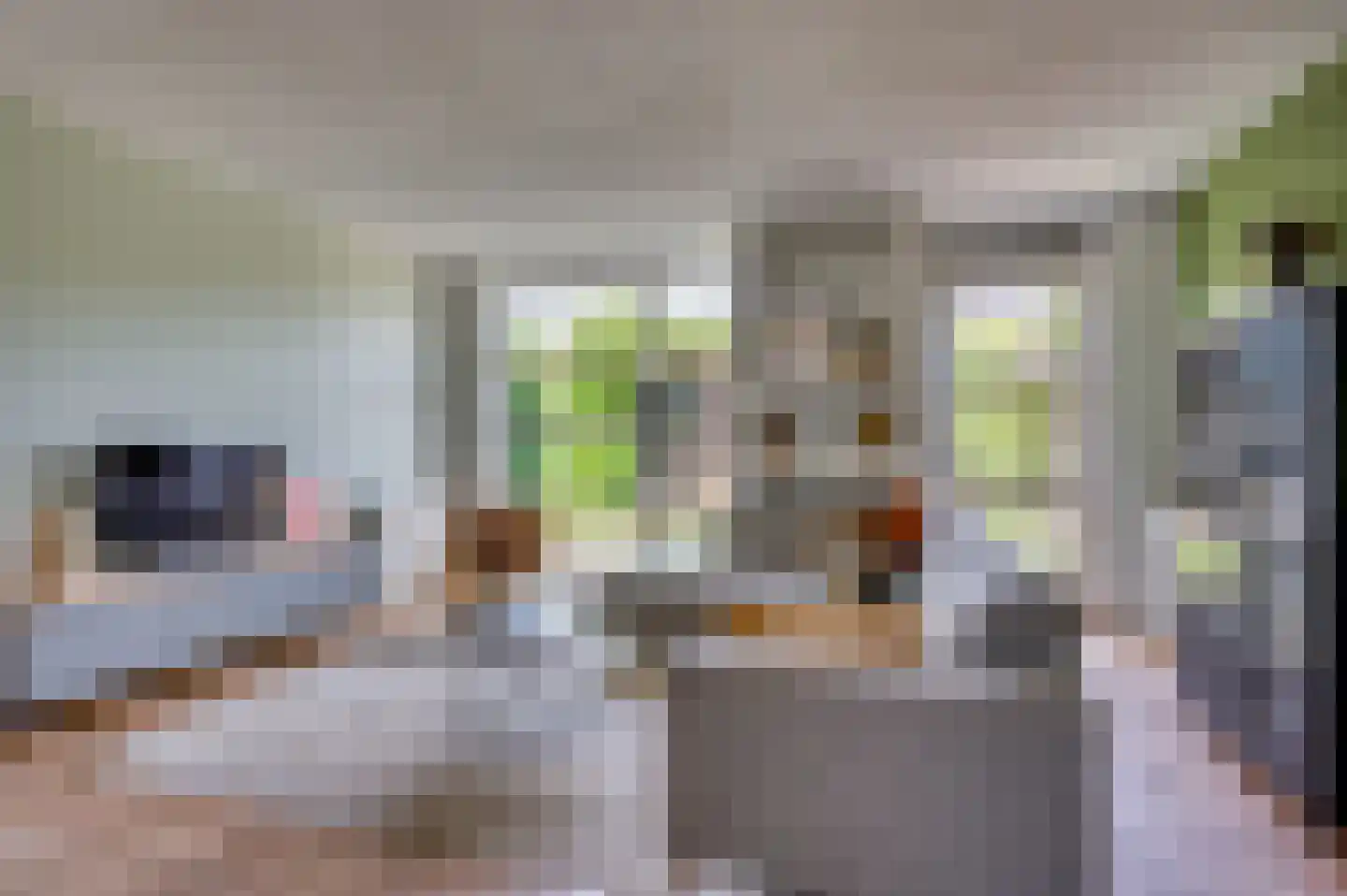 Zand Arabiëweg 1 Venlo thumbnail 9