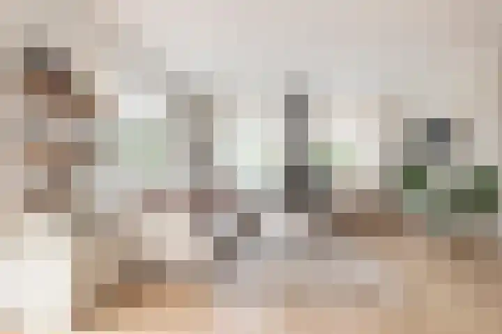 Zand- en Jaagpad 1 Baambrugge thumbnail 10