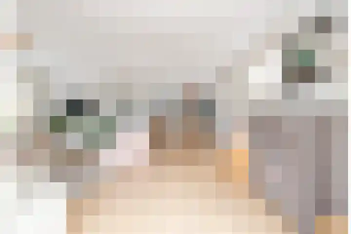 Zand- en Jaagpad 1 Baambrugge thumbnail 13
