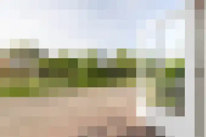 Zand- en Jaagpad 1 Baambrugge thumbnail 18