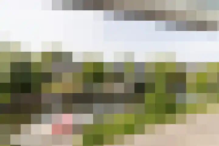 Zand- en Jaagpad 1 Baambrugge thumbnail 19