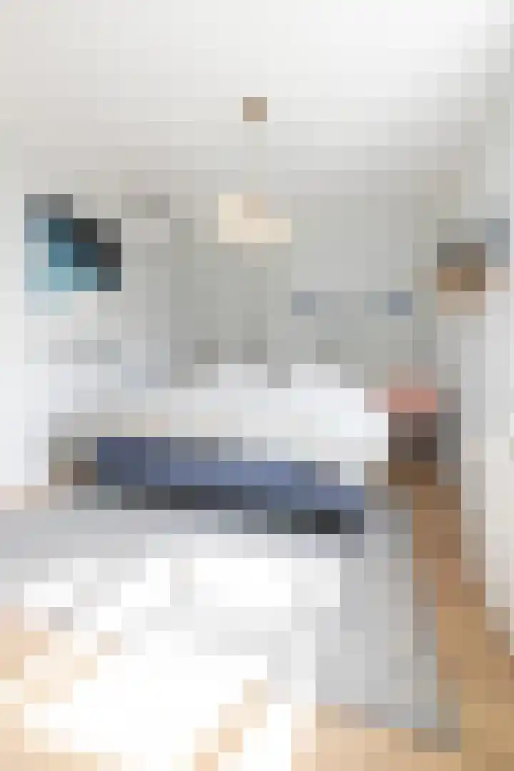 Zand- en Jaagpad 1 Baambrugge thumbnail 31