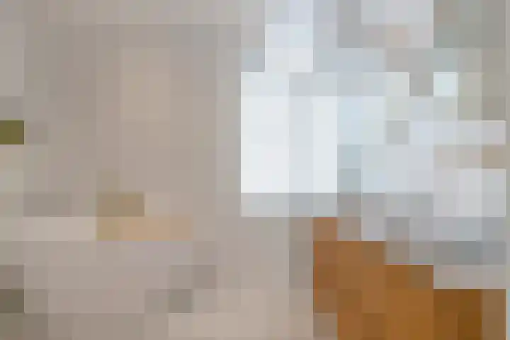 Zand- en Jaagpad 1 Baambrugge thumbnail 37