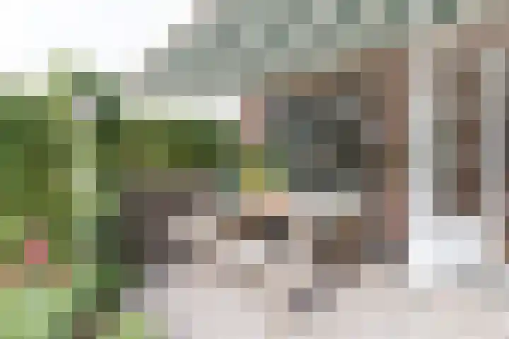 Zand- en Jaagpad 1 Baambrugge thumbnail 4
