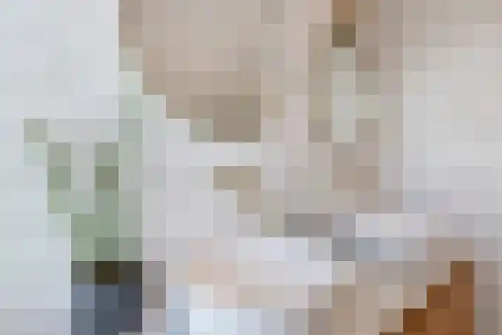 Zand- en Jaagpad 1 Baambrugge thumbnail 40