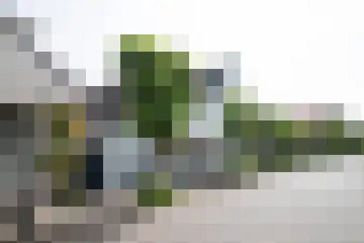 Zand- en Jaagpad 1 Baambrugge thumbnail 41