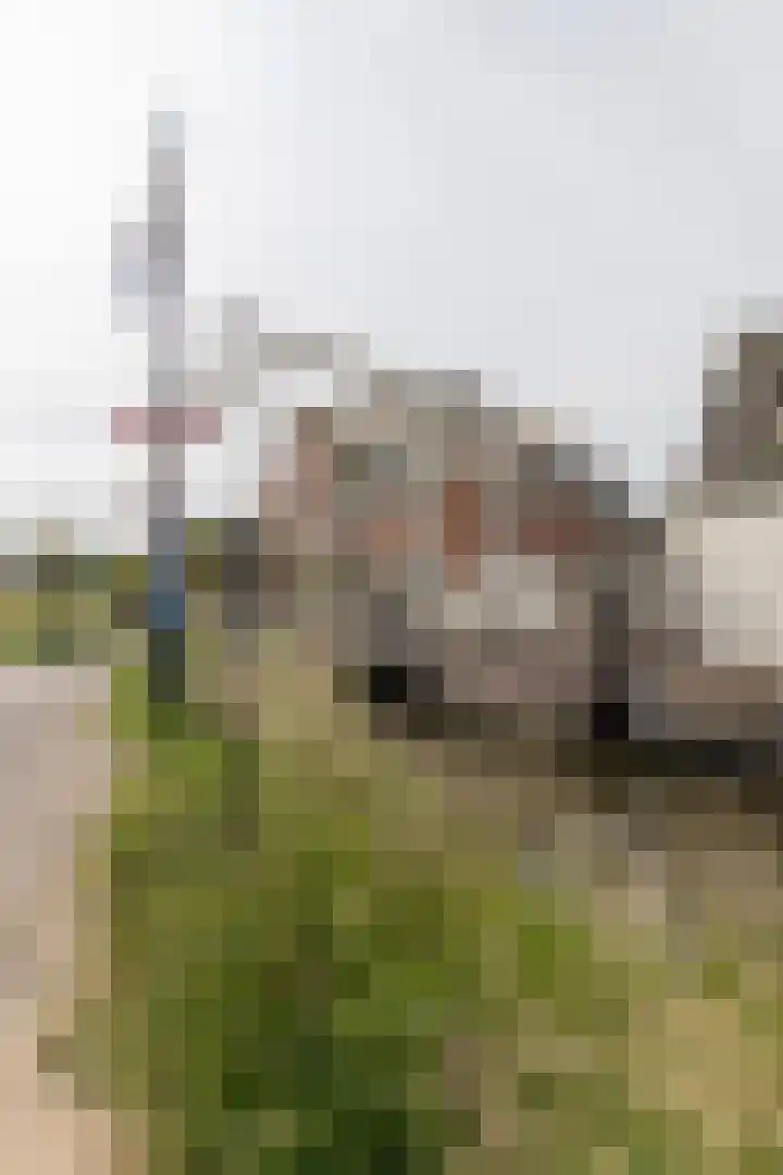 Zand- en Jaagpad 1 Baambrugge thumbnail 42