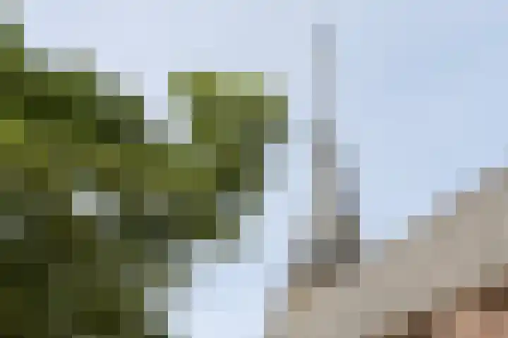 Zand- en Jaagpad 1 Baambrugge thumbnail 43