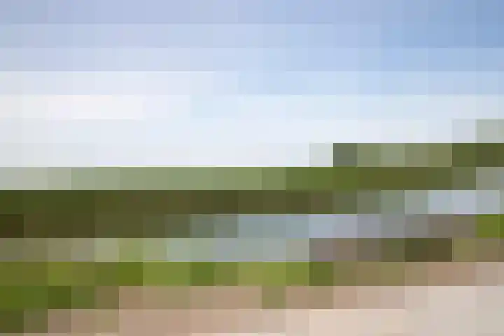 Zand- en Jaagpad 1 Baambrugge thumbnail 46