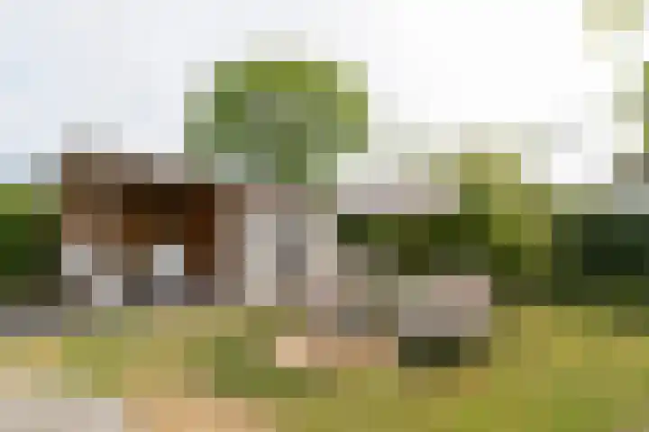 Zand- en Jaagpad 1 Baambrugge thumbnail 5