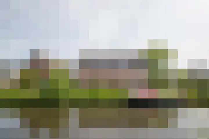 Zand- en Jaagpad 1 Baambrugge thumbnail 53