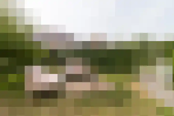 Zand- en Jaagpad 1 Baambrugge thumbnail 6