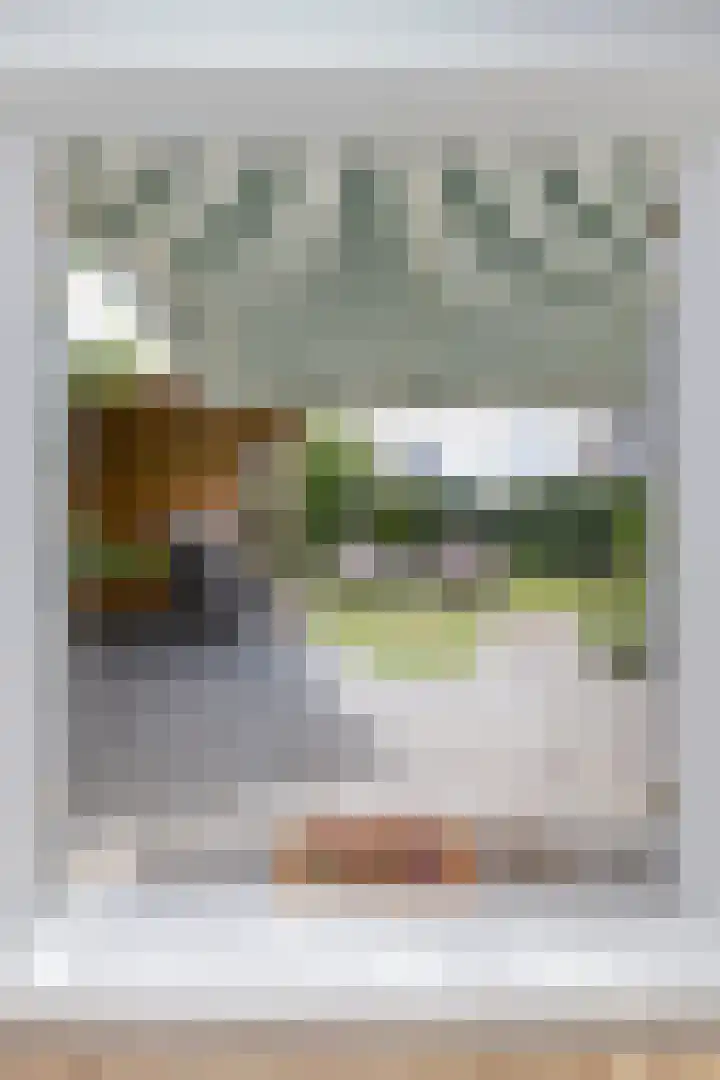 Zand- en Jaagpad 1 Baambrugge thumbnail 7