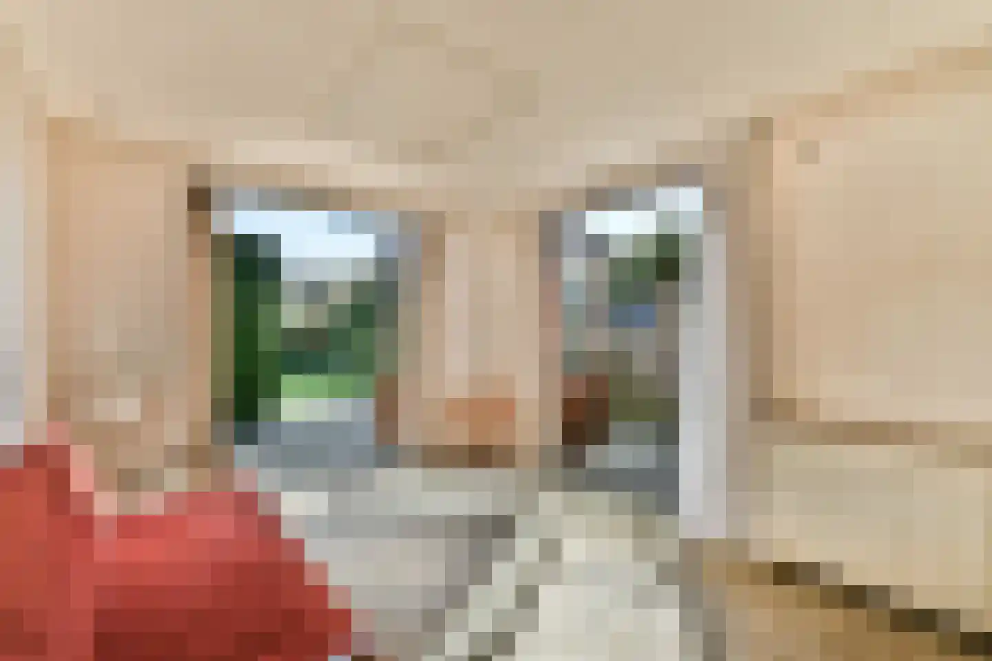 Zand- en Jaagpad 10 Baambrugge thumbnail 14