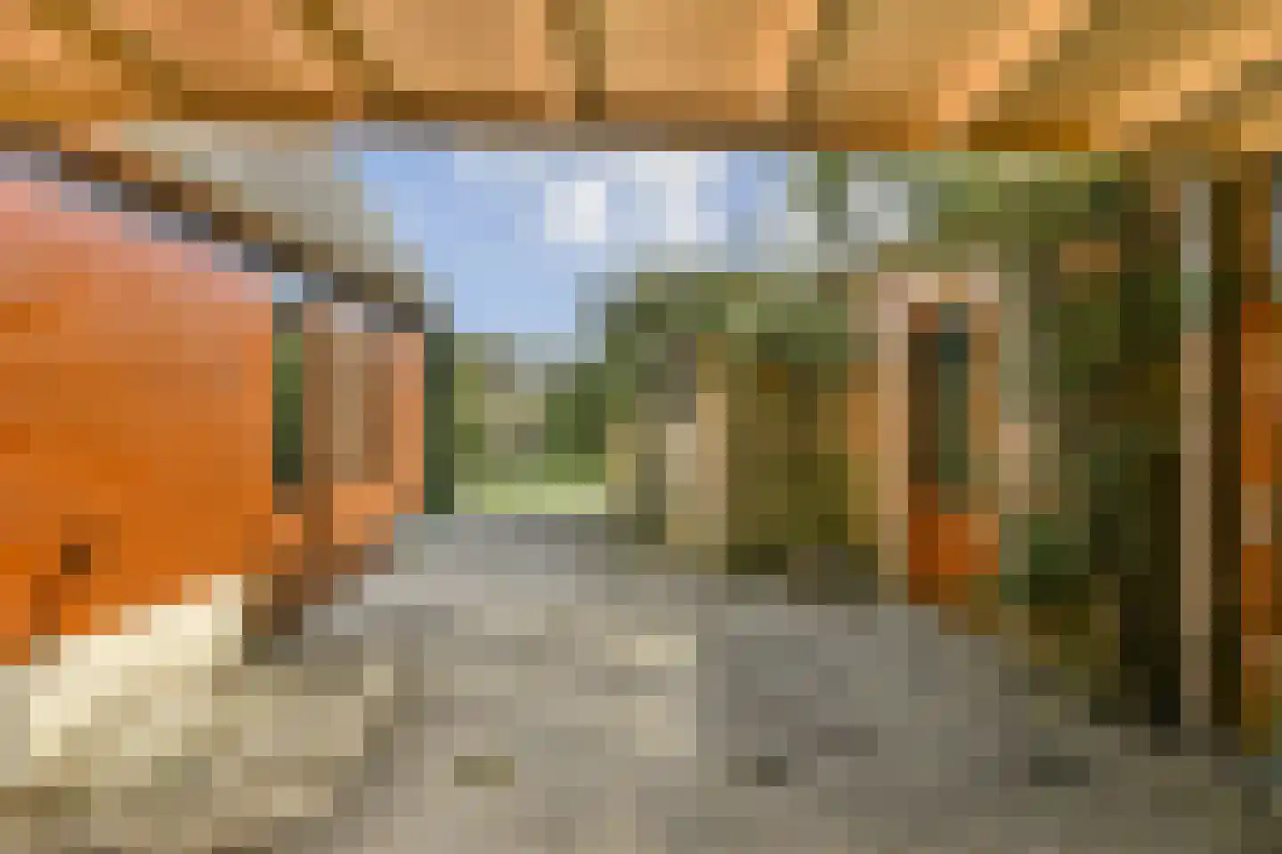 Zand- en Jaagpad 10 Baambrugge thumbnail 16