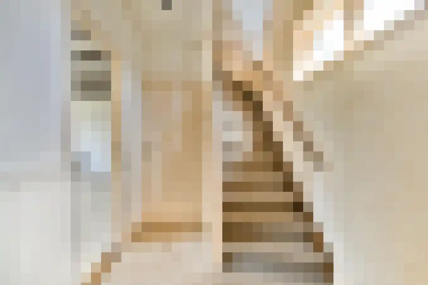 Zand- en Jaagpad 10 Baambrugge thumbnail 6