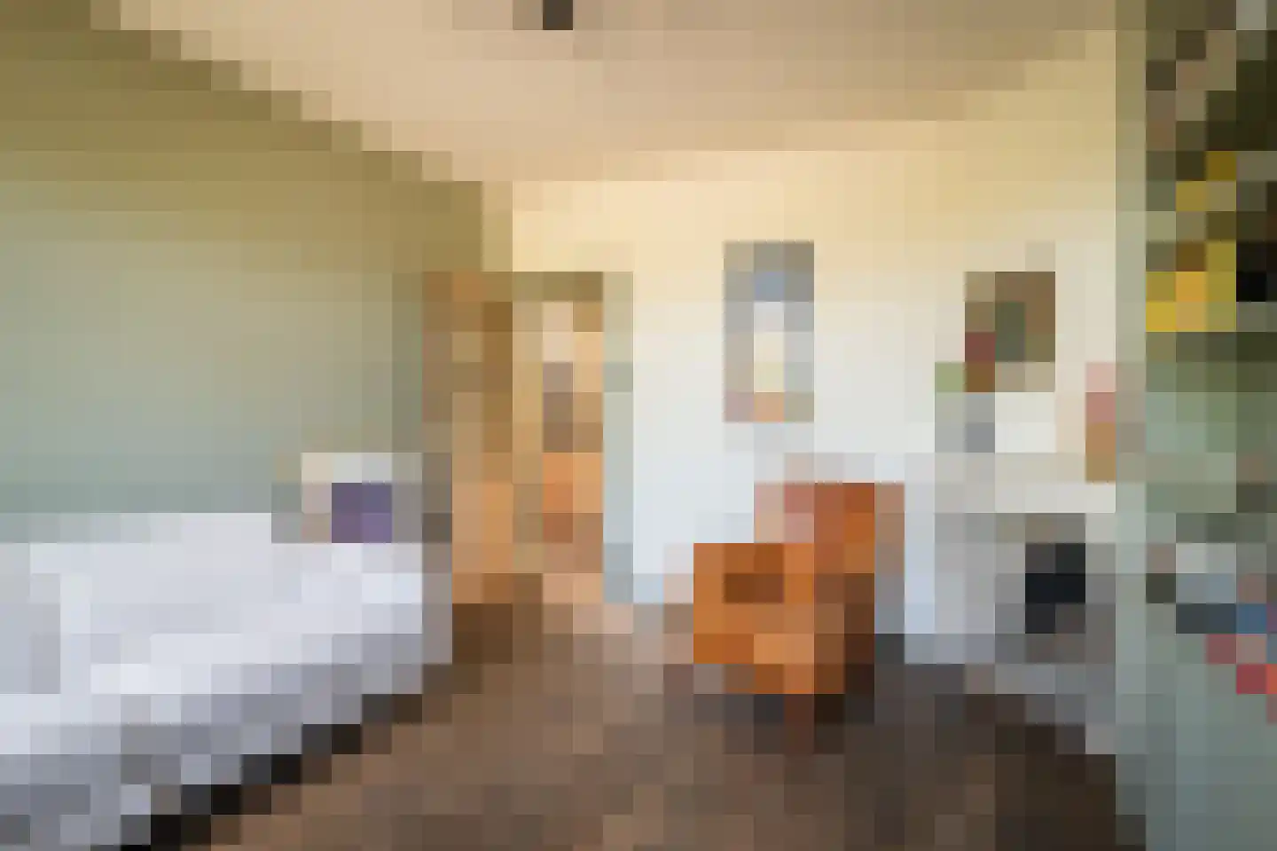 Zand- en Jaagpad 24 Baambrugge thumbnail 12