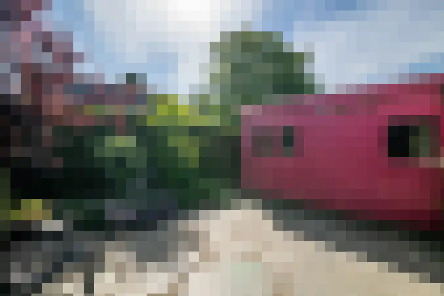 Zand- en Jaagpad 24 Baambrugge thumbnail 21