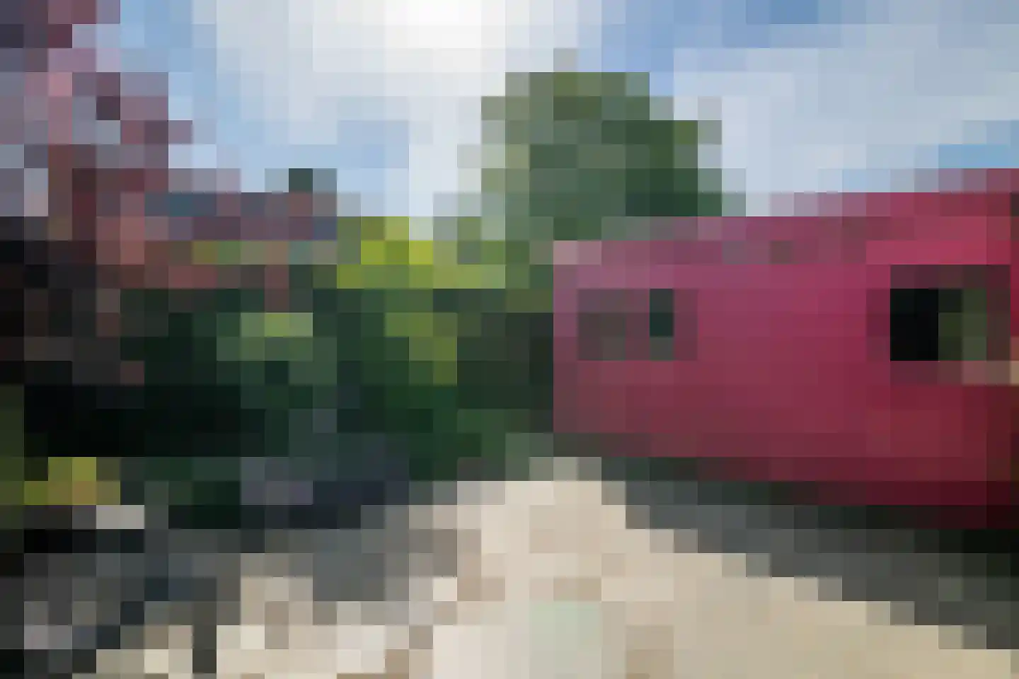 Zand- en Jaagpad 24 Baambrugge thumbnail 22
