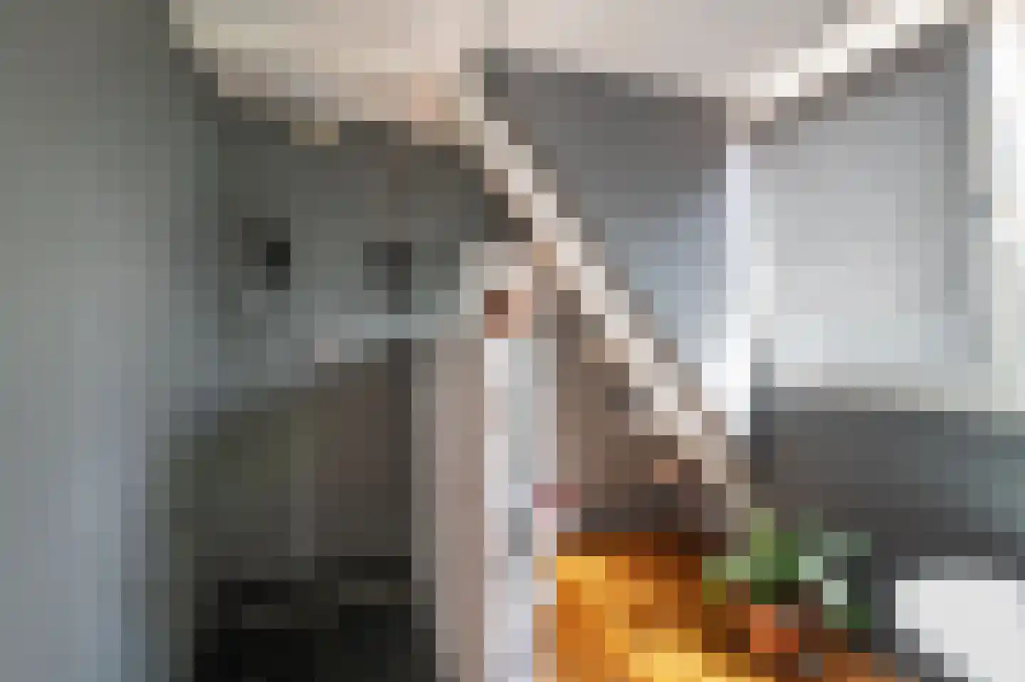 Zand- en Jaagpad 24 Baambrugge thumbnail 29